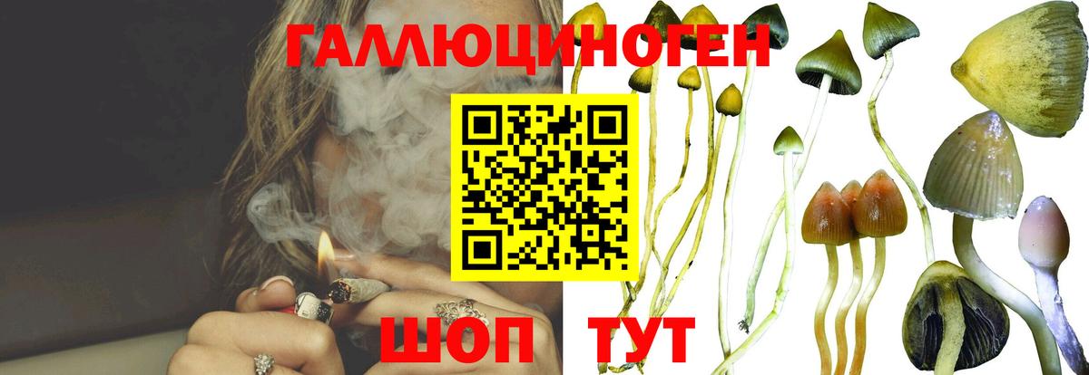 Мефедрон кристаллы  Лыткарино  МЕТ  Вход с VPN  ГАШ  Вейп ТГК  NBOMe  Марихуана  КОКАИН 